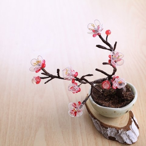 梅の花 盆栽 BONSAI 置物 日本 ディップアート  飾り Japanese apricot 美濃焼 ミニ盆栽 ギフト