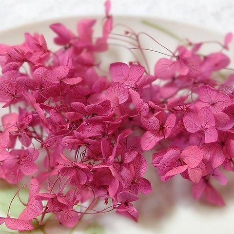 　アナベル紫陽花　あじさい　アジサイ　プリザーブド　ラズベリー