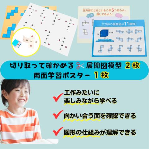 立方体１１種類　立体展開図模型　中学受験　知育玩具　小学生　中学生　算数　数学