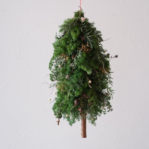 吊るすクリスマスツリー＊フライングツリー＊クリスマスツリー