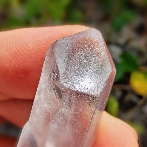 トライゴーニック(Trigonic)/ 松茸水晶(Scepter Quartz) S000420 水晶