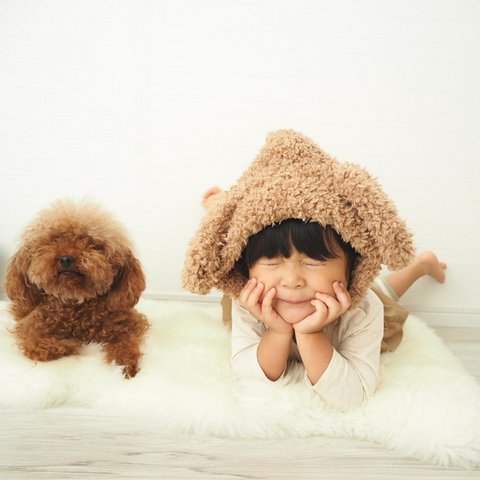 【poodle】Year of the dog ´s ear