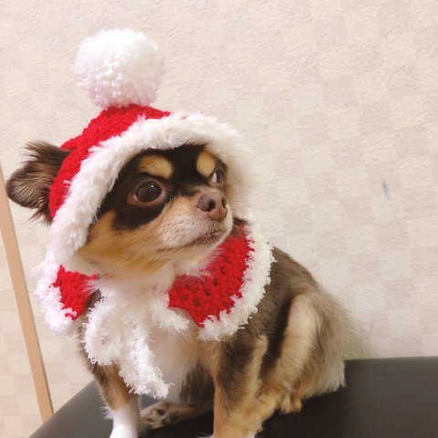再販‼️犬用＆猫用 サンタ帽子🤶❤️ クリスマス変身グッズ サンタポンチョ
