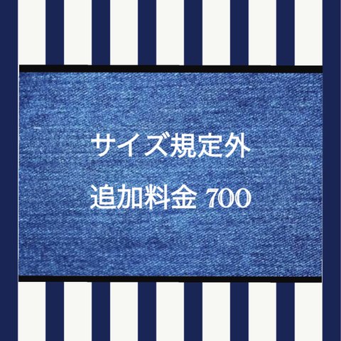 サイズ規定外・追加料金７００