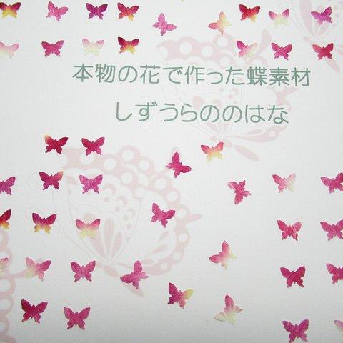 本物の花で作った蝶・１cmサイズ（バラ・ピンク）５０枚セット　押し花素材　