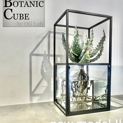 ★Botanic Cube 2nd model★