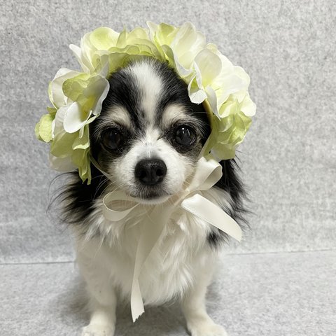 犬紫陽花花冠☆猫帽子ペット帽子犬カチューシャヘッドドレス犬帽子