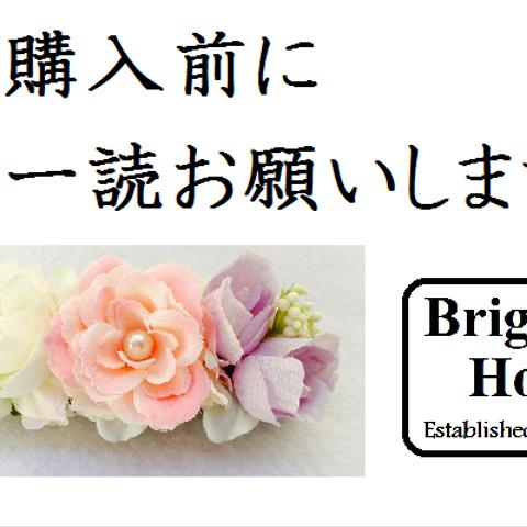 ☆ご購入前に一読お願いします☆