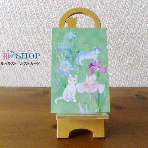 お散歩にゃんず◆花菖蒲｜ ポストカード2枚セット