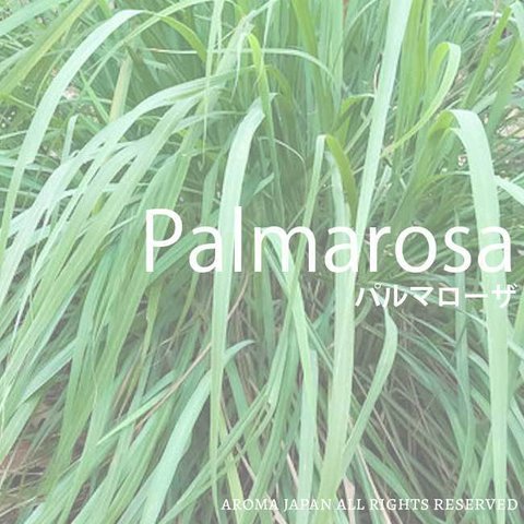 パルマローザ精油3ml,5ml,10m,30ml,50ml アロマオイル/エッセンシャルオイル/ケモタイプ精油/Palmarosa