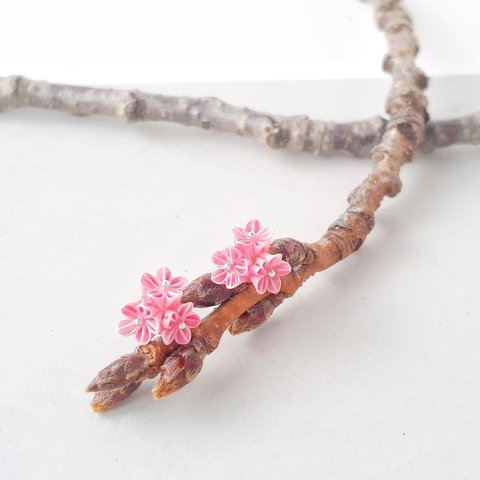 小さな"桜"プチピアス・:＋°  / 金属アレルギー対応 軽量 箱付き&ギフト対応あり