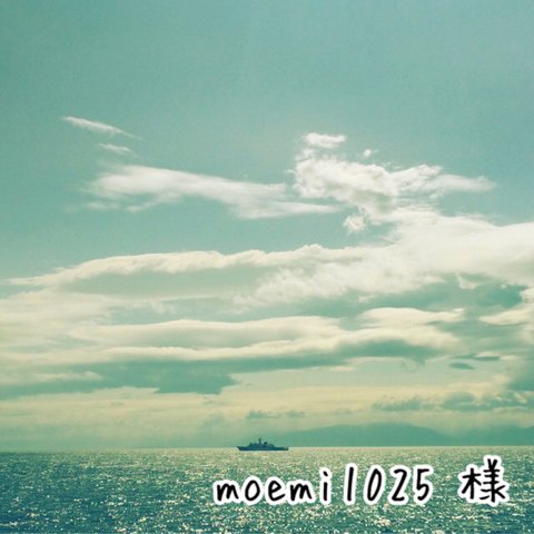 moemi1025 様 専用