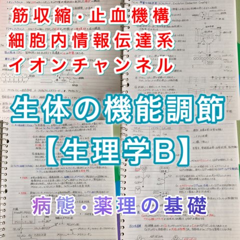 看護師国家試験、准看護師、看護学科定期試験対策シリーズ【生理学B】まとめノート