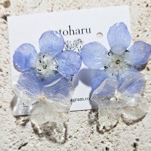 ネモフィラと紫陽花ピアス