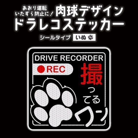 🐾 犬の肉球ドラレコステッカー「撮ってるワン」（シールタイプ）