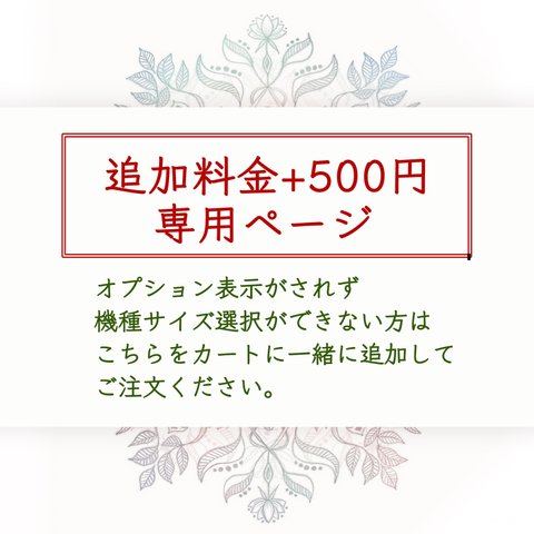 追加料金+500円用専用ページ★