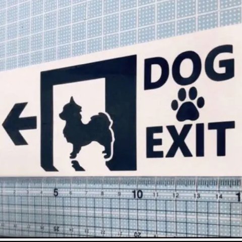 DOG EXIT ステッカー　チワワ　ブラック