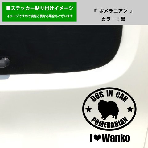 かわいい ポメラニアン 犬 ドッグインカー dog in car 車 ステッカー シール