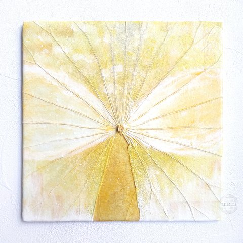 「光の拡散」蓮の葉アート