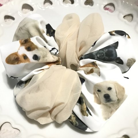 わんちゃんず🐶プレーンシュシュ✨（×バニラ）