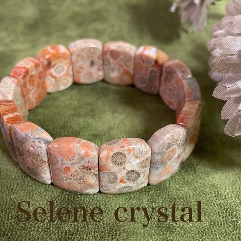 フォッシルコーラル　バングル　珊瑚　おすすめ　人気　　　天然石ブレスレット　Selene crystal  和装　着物