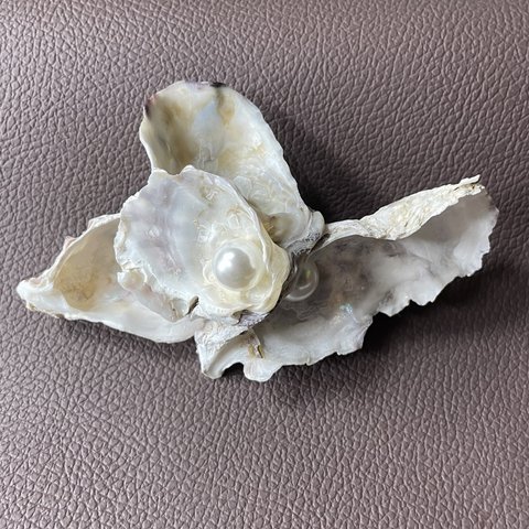 加計呂麻島で取れた貝殻で作ったヘアバレッタ