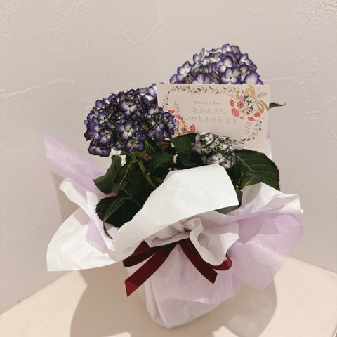 【一点限り】紫陽花💜花模様　