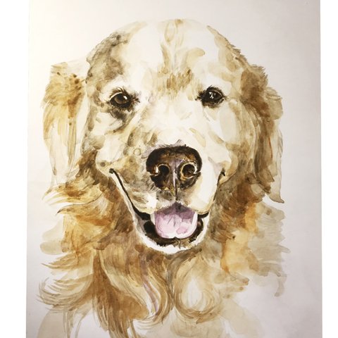 ペットの肖像画　pet portrait（A4）