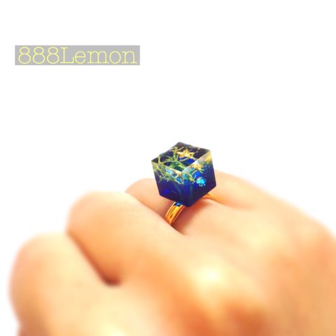 海の中の世界　ring