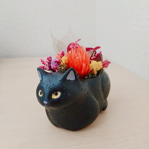 黒猫〈プリザーブドフラワー〉