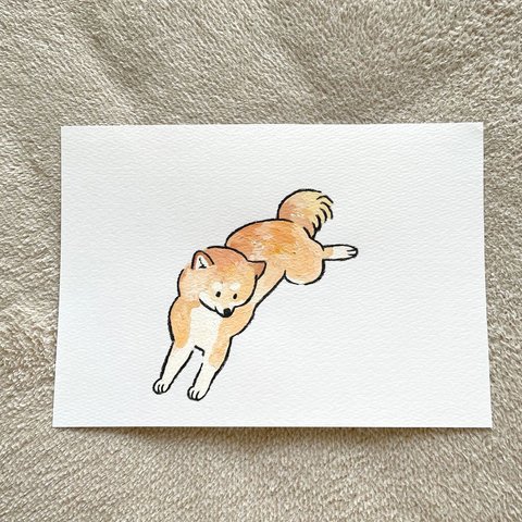 原画　飛び跳ねる柴犬