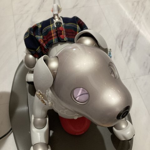 aiboちゃんのブルマー　AI robot aibo's bloomers タータンチェック柄　REDスナップ