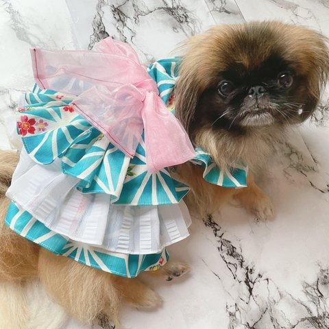 かわいい～犬の洋服 フリル3段 フリーサイズ 104　水色×白レース