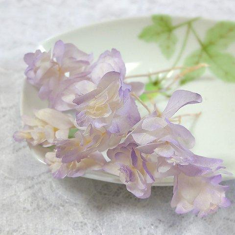 ＊ただ今割引中＊　 柏葉紫陽花　あじさい　カシワバアジサイ　プリザーブド　ホワイトパープル