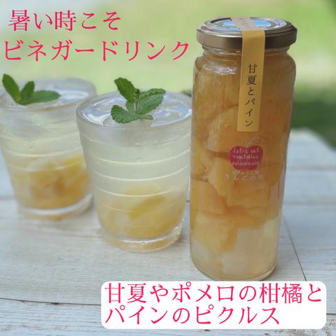 食べられる飲む酢！甘夏・文旦・パインのピクルス　台湾パイン使用