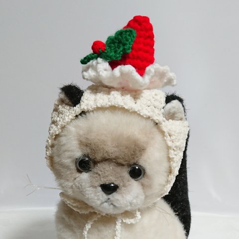 クリスマスケーキをモチーフにした猫、小型犬用の帽子