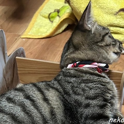 ちりめんまわし首輪（子猫＆成猫用）・モダン柄・うねり