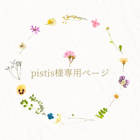 pistis様専用ページです。