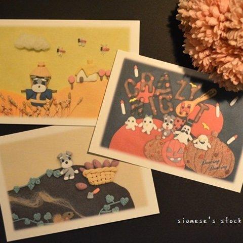 素朴で可愛いシュナウザー犬のポストカード(2017秋柄3枚)