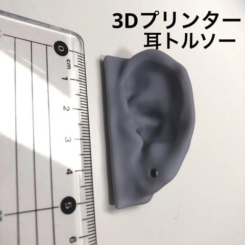 耳トルソー、ディスプレイ、マネキン、ピアス・イヤリング什器、3Dプリンター