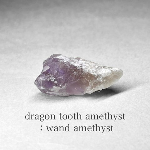 dragon tooth ( wand ) amethyst / ブラジル産ドラゴントゥース ( ワンド )アメジスト F