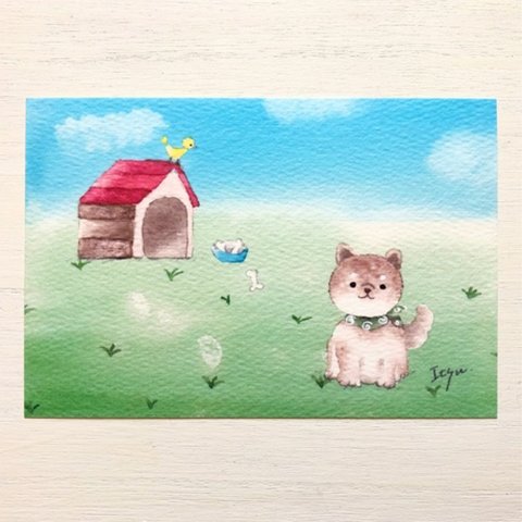 🐶透明水彩画「豆柴のお留守番」イラストポストカード 2枚セット  柴犬　犬　鳥🐶