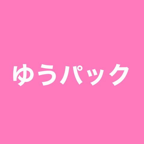 りん様専用☆ゆうパック☆専用