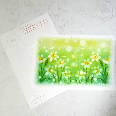 寒中お見舞いはがき2枚セット　冬の光の花・水仙　パステルアート ポストカード　