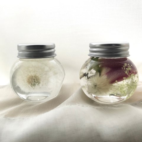 タンポポ×薔薇 ハーバリウム2個セット