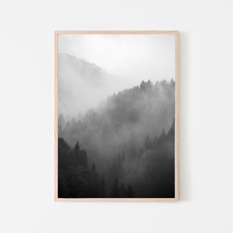 森と濃霧 / アートポスター 風景写真 アートプリント 自然 森林 forest foggy ミスト 白黒 モノクロ	