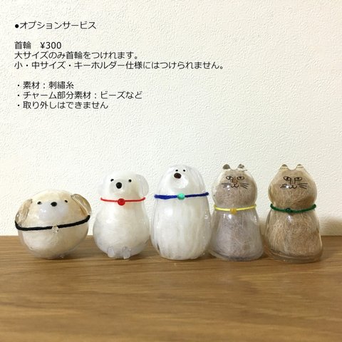 首輪オプション注文ページ