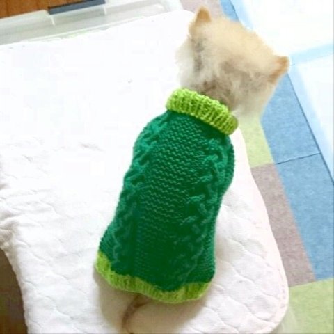 わんこセーター  (W3)約 2～3号サイズ