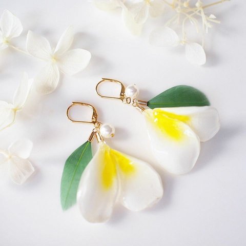 【受注制作】Plumeria Mini × green. 本物のお花　ミニプルメリアのダブルペタルとグリーンの耳飾り/ピアス/イヤリング　パール＆フェザー