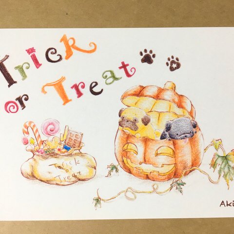 Trick or treat! パグ